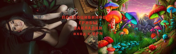 скорость Алзамай