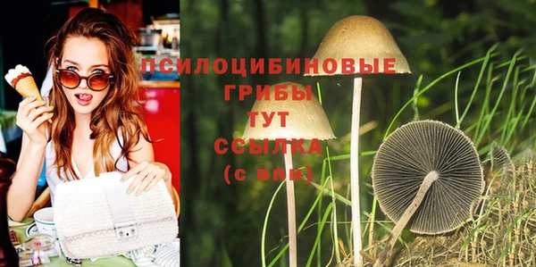 прущие крисы Алексин