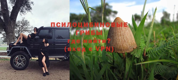 скорость Алзамай